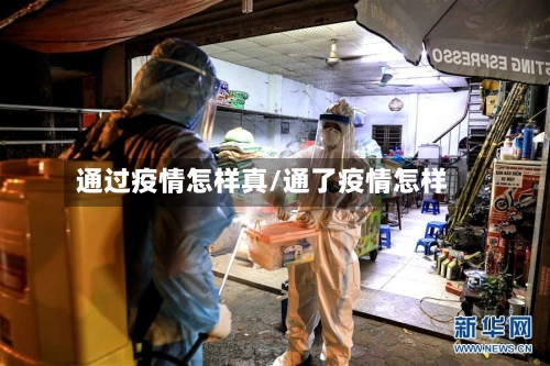 通过疫情怎样真/通了疫情怎样-第2张图片
