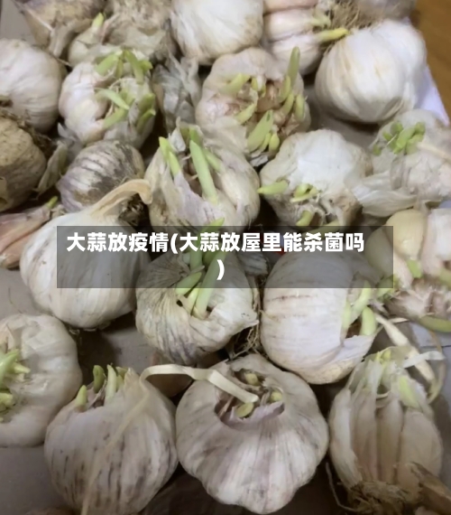 大蒜放疫情(大蒜放屋里能杀菌吗)