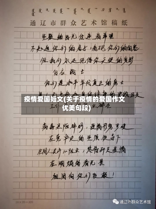 疫情爱国短文(关于疫情的爱国作文优美句段)-第2张图片
