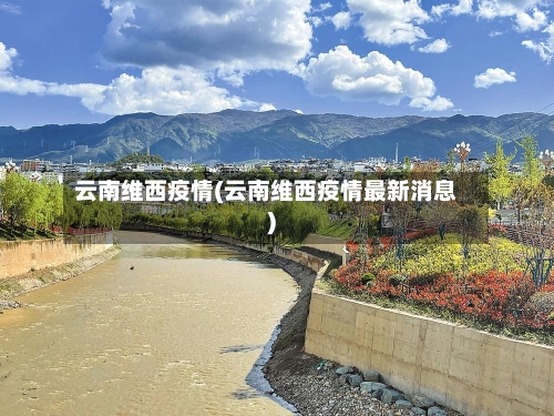 云南维西疫情(云南维西疫情最新消息)