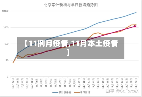 【11例月疫情,11月本土疫情】