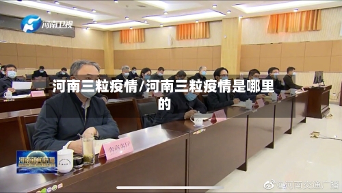 河南三粒疫情/河南三粒疫情是哪里的-第3张图片