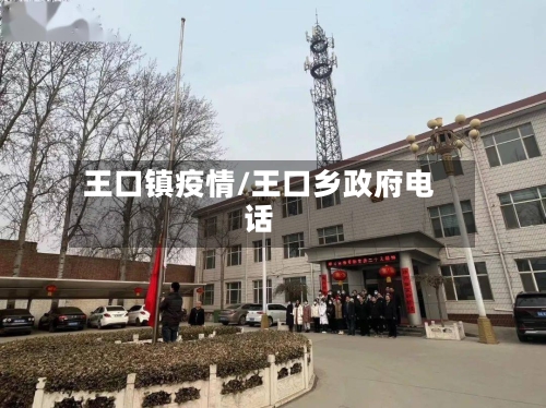 王口镇疫情/王口乡政府电话