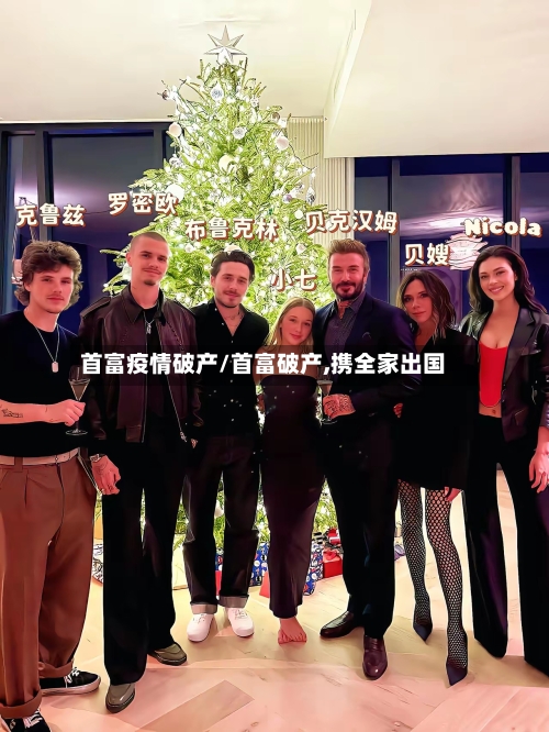首富疫情破产/首富破产,携全家出国