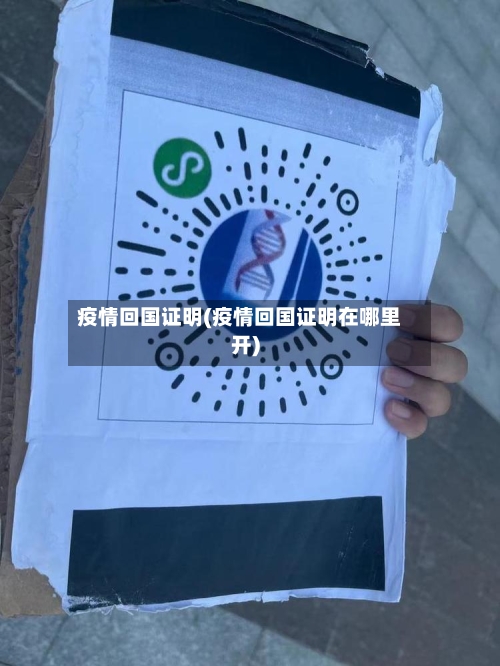 疫情回国证明(疫情回国证明在哪里开)-第2张图片
