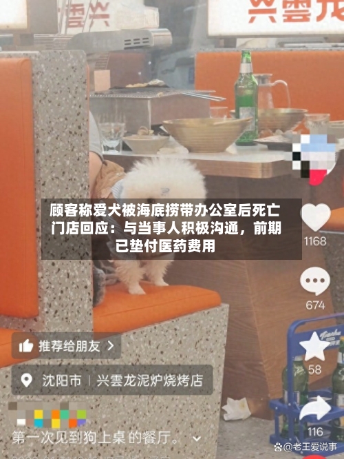 顾客称爱犬被海底捞带办公室后死亡 门店回应：与当事人积极沟通，前期已垫付医药费用