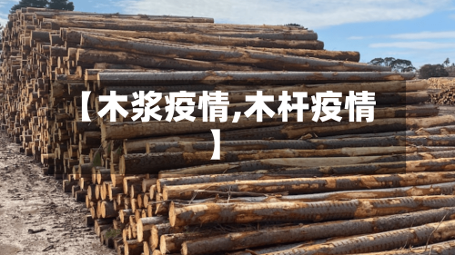 【木浆疫情,木杆疫情】