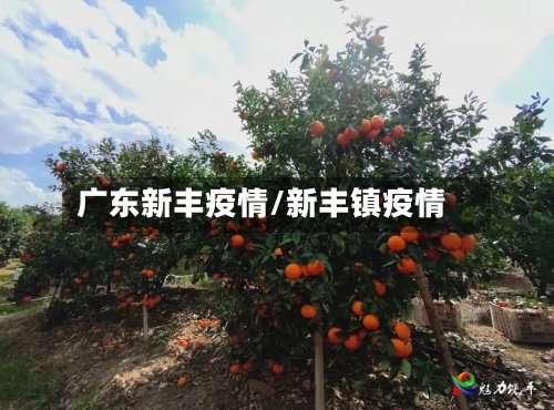 广东新丰疫情/新丰镇疫情-第2张图片