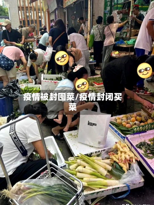 疫情被封囤菜/疫情封闭买菜-第3张图片