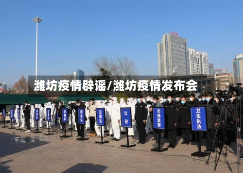 潍坊疫情辟谣/潍坊疫情发布会