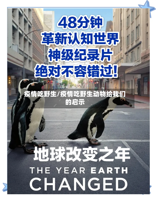 疫情吃野生/疫情吃野生动物给我们的启示-第3张图片
