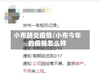 小布肺炎疫情/小布今年的疫情怎么样-第3张图片