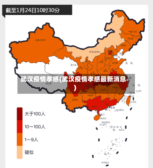 武汉疫情孝感(武汉疫情孝感最新消息)-第3张图片