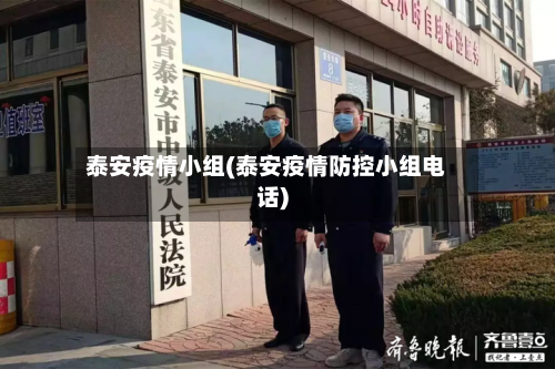 泰安疫情小组(泰安疫情防控小组电话)-第3张图片