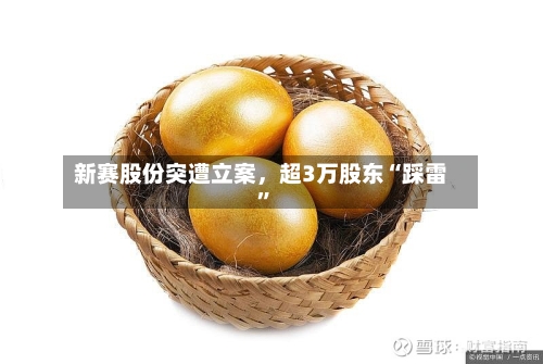 新赛股份突遭立案	，超3万股东“踩雷”-第2张图片