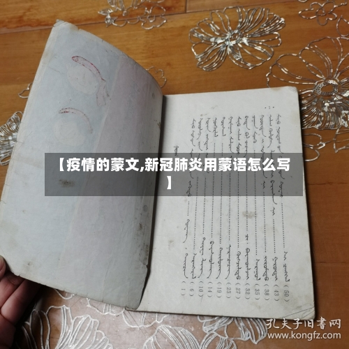 【疫情的蒙文,新冠肺炎用蒙语怎么写】-第3张图片
