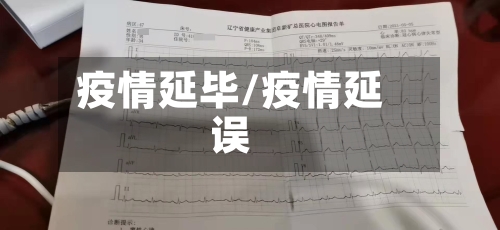 疫情延毕/疫情延误-第2张图片