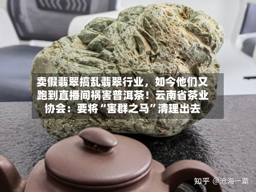 卖假翡翠搞乱翡翠行业，如今他们又跑到直播间祸害普洱茶！云南省茶业协会：要将“害群之马”清理出去-第2张图片
