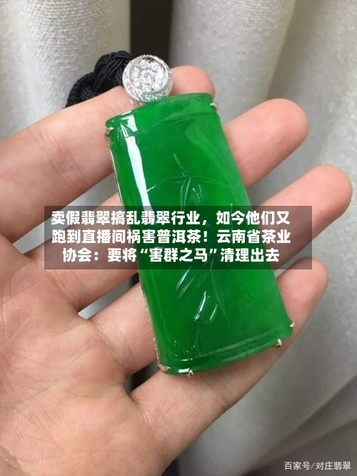 卖假翡翠搞乱翡翠行业，如今他们又跑到直播间祸害普洱茶！云南省茶业协会：要将“害群之马”清理出去-第3张图片