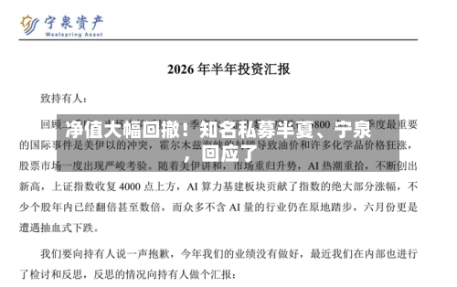 净值大幅回撤！知名私募半夏、宁泉，回应了-第3张图片