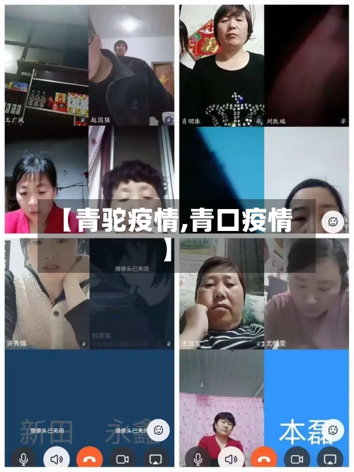 【青驼疫情,青口疫情】