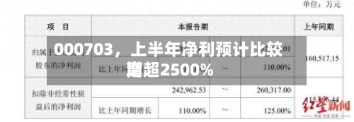 000703	，上半年净利预计比较高增超2500%-第3张图片