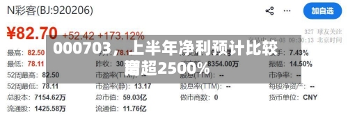 000703	，上半年净利预计比较高增超2500%-第2张图片