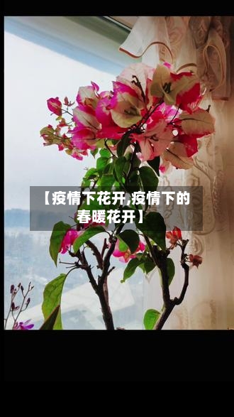 【疫情下花开,疫情下的春暖花开】-第2张图片