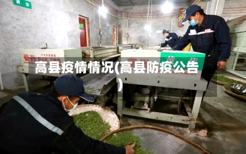 高县疫情情况(高县防疫公告)-第3张图片