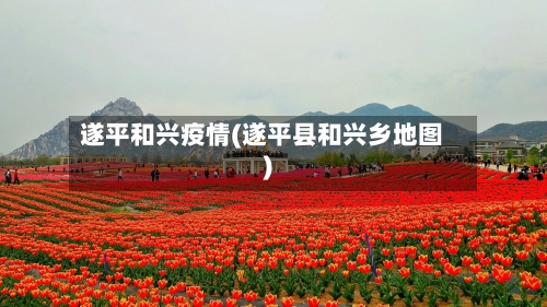 遂平和兴疫情(遂平县和兴乡地图)