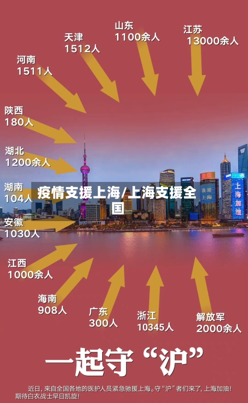 疫情支援上海/上海支援全国