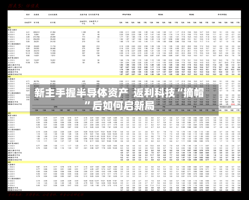 新主手握半导体资产  返利科技“摘帽”后如何启新局-第3张图片