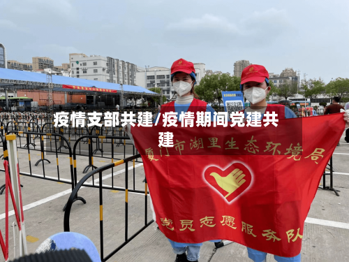 疫情支部共建/疫情期间党建共建