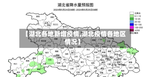 【湖北各地新增疫情,湖北疫情各地区情况】-第2张图片