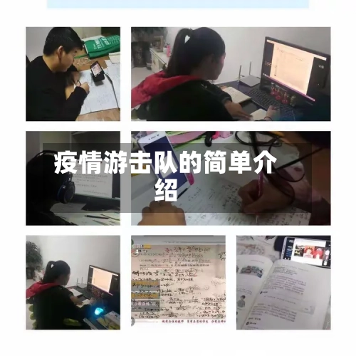 疫情游击队的简单介绍-第3张图片