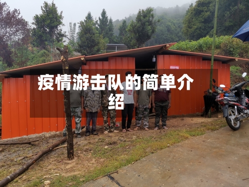 疫情游击队的简单介绍-第2张图片