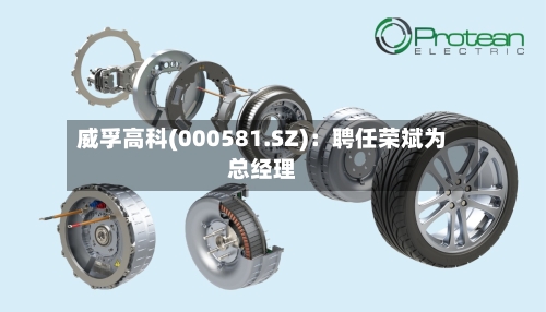 威孚高科(000581.SZ)：聘任荣斌为总经理
