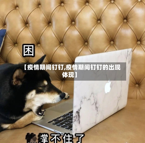 【疫情期间钉钉,疫情期间钉钉的出现体现】-第2张图片
