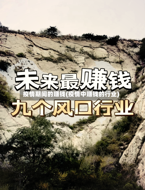 疫情期间的赚钱(疫情中赚钱的行业)-第2张图片