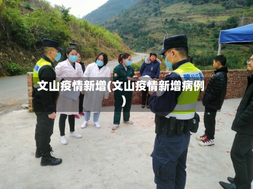 文山疫情新增(文山疫情新增病例)-第2张图片