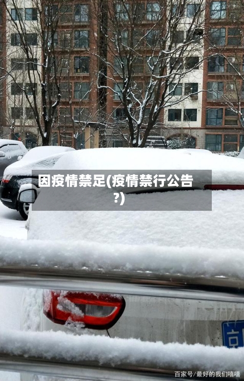 因疫情禁足(疫情禁行公告?)-第2张图片