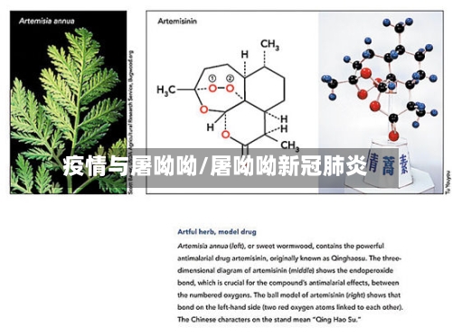 疫情与屠呦呦/屠呦呦新冠肺炎-第3张图片