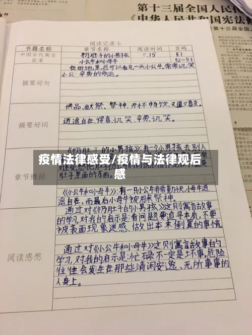 疫情法律感受/疫情与法律观后感-第3张图片