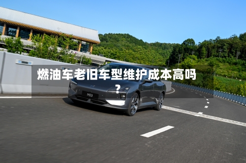 燃油车老旧车型维护成本高吗？-第2张图片
