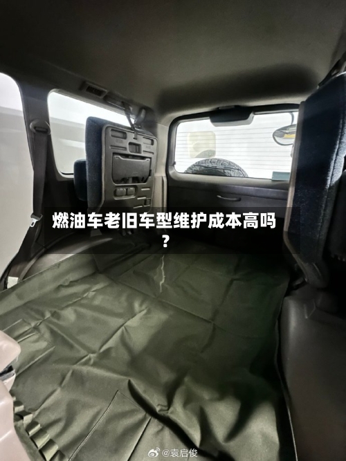 燃油车老旧车型维护成本高吗？-第3张图片