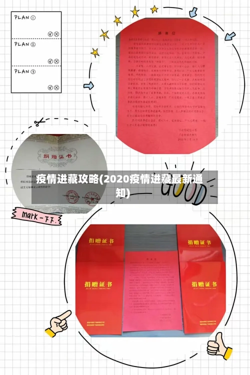 疫情进藏攻略(2020疫情进藏最新通知)