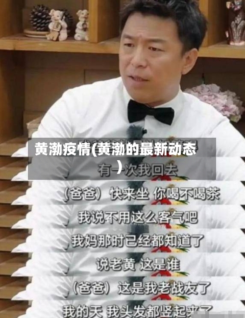 黄渤疫情(黄渤的最新动态)-第2张图片