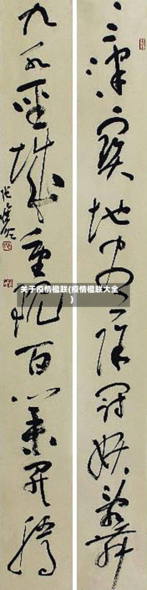 关于疫情楹联(疫情楹联大全)
