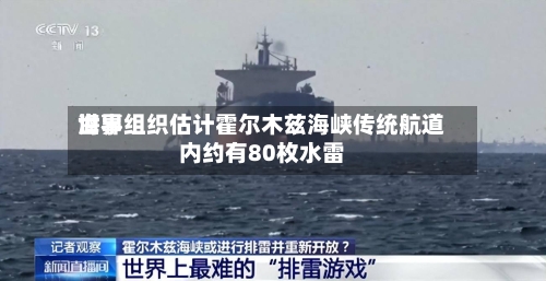 世界海事组织估计霍尔木兹海峡传统航道内约有80枚水雷-第2张图片