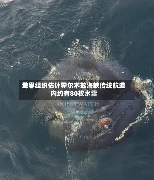 世界海事组织估计霍尔木兹海峡传统航道内约有80枚水雷